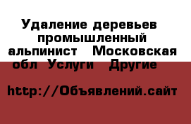 Удаление деревьев, промышленный альпинист - Московская обл. Услуги » Другие   